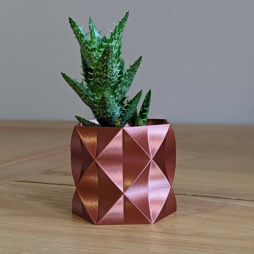 succulent plant pot planter arnold 3D print model - Mito3D
