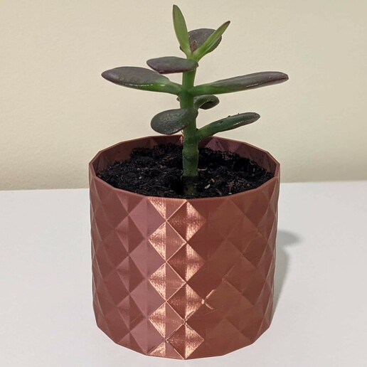 succulent plant pot planter clara 3D print model - Mito3D