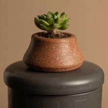 sulu ekici bitki ev modern Sanat sıra 3d print model - Mito3D