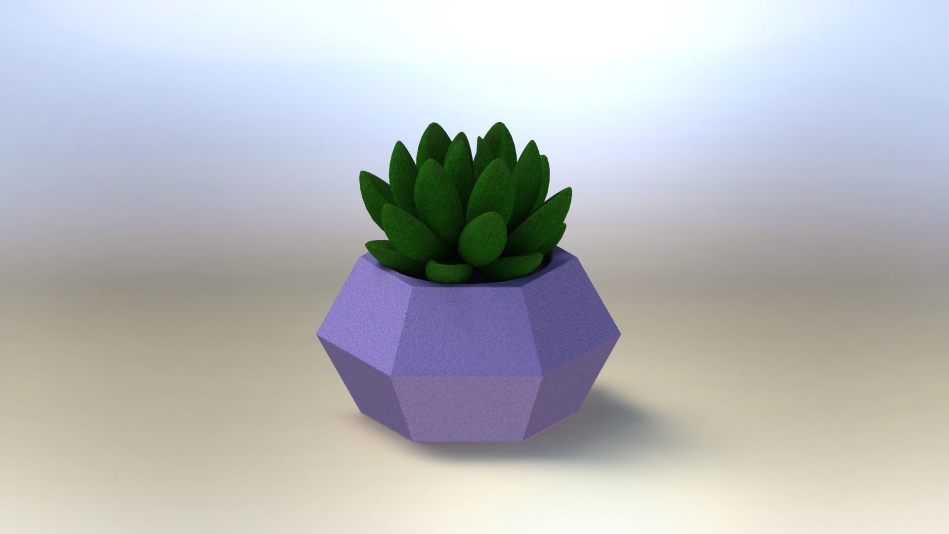 suculento plantador hogar casa cactus plantas jardín flor florero 3D print model - Mito3D
