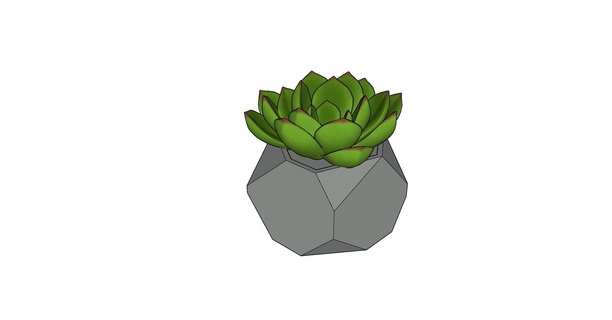 saftig Pflanzer Pflanze Blumentopf Dekoration geometrisch 3d print model - Mito3D