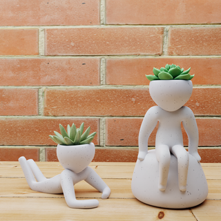 succulent planteur ensemble 1 plante pot décor cactus jardin fleur vase jardinier intérieur 3d print model - Mito3D