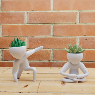 succulent planteur ensemble 2 plante pot décor cactus jardin fleur vase jardinier intérieur 3d print model - Mito3D