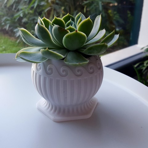 succulent planter 2 home small plant 3D print model - Mito3D