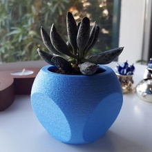 succulent planter 3 home small plant 3d print model - Mito3D