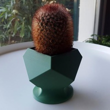 succulent planter 5 home small plant 3d print model - Mito3D