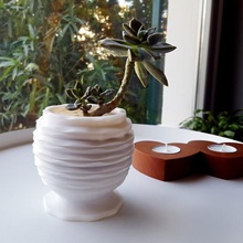 succulent planter 8 home decoration decor small plant 3d print model - Mito3D