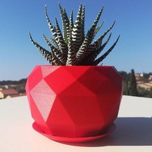 succulente fioriera in low poly casa arredamento piante grasse cactus 3d print model - Mito3D