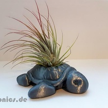 succulente seminatrice di tartaruga casa il vaso fiore scrivania organizzatore giardino piante grasse cactus 3d print model - Mito3D