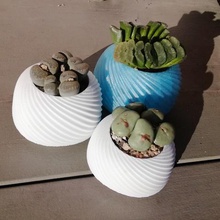 succulent planter home decor succulents flower pot container 3d print model - Mito3D