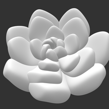 succulenta impianti calcolo loto arte pianta 3d print model - Mito3D
