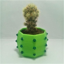 succulent pot - cactus thorns plants 3d print model - Mito3D