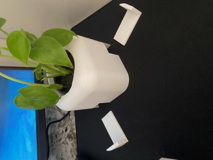 succulent pot câble routage Accueil maison pot succulent câbles câble routage bureau installer meilleur succulent pot plante plante pot Razer vipère ultime 3d print model - Mito3D