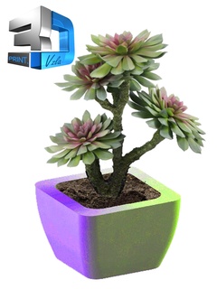 succulenta pentola muffa candela Casa mazeta casa decorazione piante grasse captus impianti giardino 3d print model - Mito3D