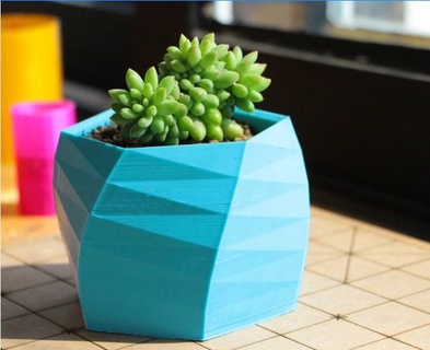 succulent pot mold 3d print model - Mito3D