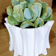 succulent vase flowers decoration planter house room interior design 3d print model - Mito3D