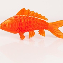 de la pleine mer, poissons koi jeu onsuchafullsea les animaux 3d print model - Mito3D