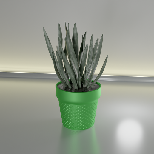 inumidire pianta pentola 24 foglia cactus natura flora fiore forma astratto ciotola vaso succulenta casalinghi stoviglie generale arredamento botanico giardinaggio verde Casa 3D print model - Mito3D