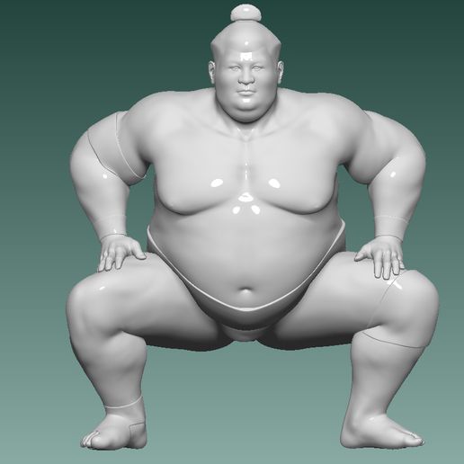 sumo gadget fighting fight sumoringer sum competition wrestling wrestler overweight 3D print model - Mito3D