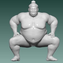 sumo artilugio luchando lucha sumoringer suma competencia luchador exceso peso 3d print model - Mito3D