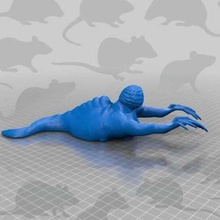 super fat animal very long fingers art sculptures 3d print model - Mito3D