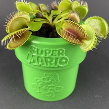 super mario boru vazo oyun nintendo Süper video oyunu 3d print model - Mito3D