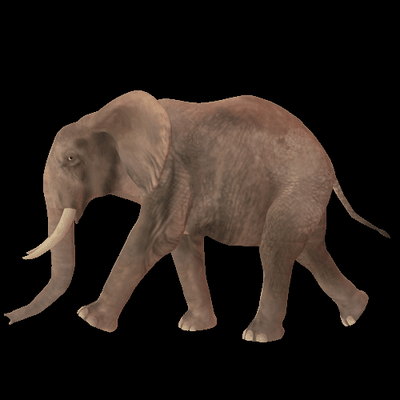 suporte alexa eco pop elefante 4 5 3 maçã crânio bulbasauro pokémon anime jardim zoológico animal 3d print model - Mito3D