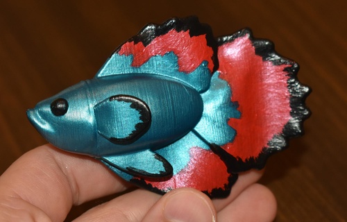 support free betta koi fish tropical pet model carp tank water animal 3d print model - Mito3D