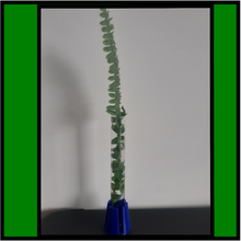 suporte tubo diâmetro 15mm teste plantador medicamento decoração Farmacêutico flor 3d print model - Mito3D