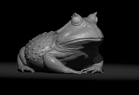Suriname chifrudo rã ceratophrys arte suriname hornedfrog animal animalismo anfíbio legal engraçado nervoso 3d print model - Mito3D
