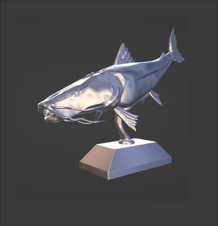 surubi whiskers fish trophy fishing river toy adventure tournament parana argentina 3d print model - Mito3D