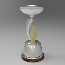 suruga bank cup football trophy river conmebol afa 3d print model - Mito3D