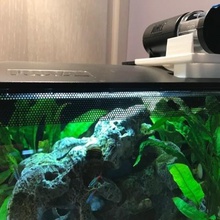 sushi alimentador automático a casa aquário peixe juwel alimentos 3d print model - Mito3D