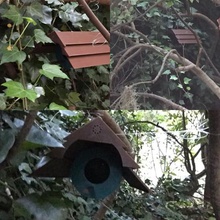 suspenso birdhouse casa 3d print model - Mito3D