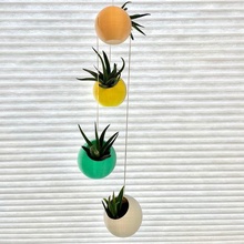 suspended spherical succulent splanters planters air plants hanging pots succulents 3d print model - Mito3D