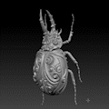 swirly beetle insect 3d art toy realistic animal sculpture 3d print model - Mito3D