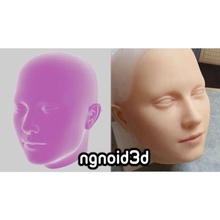 sylvie 2021 completare modanatura set attrezzi silicone pelle fabbricazione robot animatronico cranio umanoide testa realistico 3d print model - Mito3D
