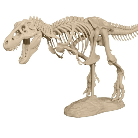 t-rex esqueleto jogo dinossauro modelo em escala 3D print model - Mito3D