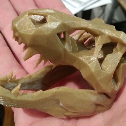 rex crâne 3D print model - Mito3D
