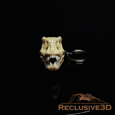 t-rex skull keychain jewelry key chain decoration decor bone dinosaur dino skeleton t rex 3d print model - Mito3D