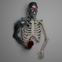 t800 Humain mur décoration robot Android anatomie terminateur endosquelette cœur mèche humanoïde Arnold schwarzenegger libre 3d print model - Mito3D