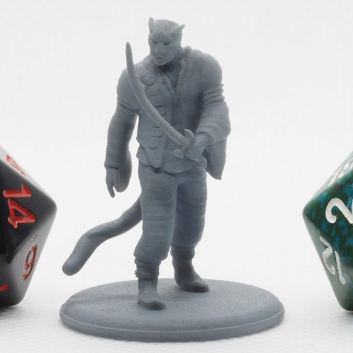 tabaxi marin - table miniature jeu 25mm 28mm de plateau des jeux société cat pièces collection coutelas le mdn donjons dragons la fantaisie féline figurine khajiit l'homme mini modèle pathfinder pirate voyous l'épée dessus jouet les jouets warhammer 3D print model - Mito3D