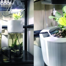 tavolo sistema acquaponico casa agricoltura aquaponics giardinaggio urbano giardino all'aperto 3d print model - Mito3D