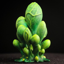 tabletop plant blob crowd alien vegetation 15 game toy accessories warhammer 40k wargaming wargame terrain gaming table top gamers rpg minis makers plants miniature gift gamer fungus fantasy dungeons dragons decoration d&d blender 28mm 3d print model - Mito3D