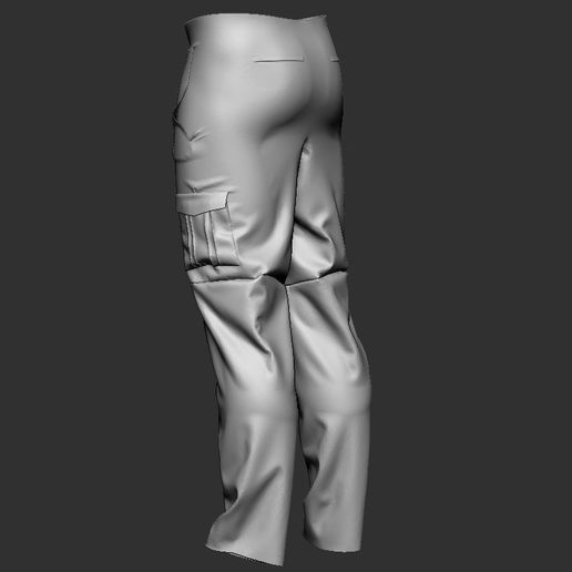 táctico pantalones 3D print model - Mito3D