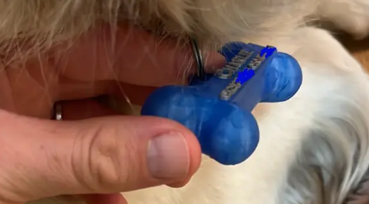etikett hund 3d knochen gestalten zuhause haus namensschild hundemarke halsband 3d print model - Mito3D