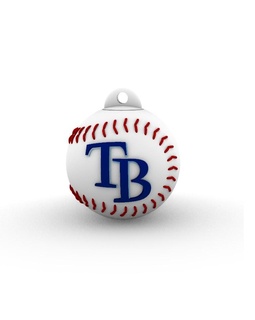 tampa bay rays - container lid mlb key ring unique gift 3d print model - Mito3D