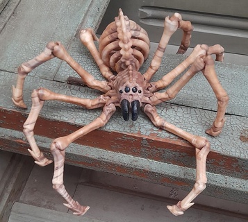 tarántula flexi print in place esqueleto araña helloween flexible articulado juguete fábrica fantasía posable apoya mítico criatura terror impresión sitio 3d print model - Mito3D