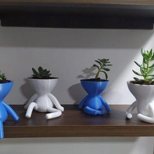 equipo robert planta maceta florero matero ollas pre supported matera jardín decoración 3d print model - Mito3D