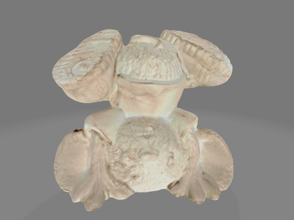 teddy headstand teddy headstand decoration  3d print model - Mito3D